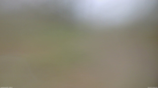 長野県菅平高原 ゆたか山荘 坂上 2026/05/01 09:00