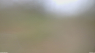長野県菅平高原 ゆたか山荘 坂上 2026/05/01 09:15