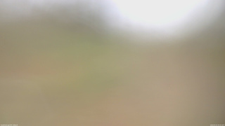 長野県菅平高原 ゆたか山荘 坂上 2026/05/01 09:30