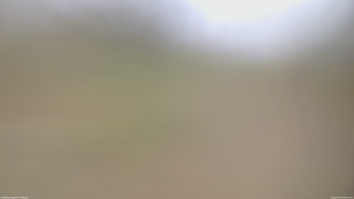 長野県菅平高原 ゆたか山荘 坂上 2026/05/01 09:45