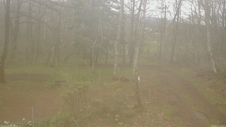 長野県菅平高原 ゆたか山荘 坂上 2026/05/01 11:45