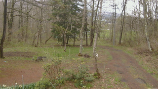 長野県菅平高原 ゆたか山荘 坂上 2026/05/01 12:30