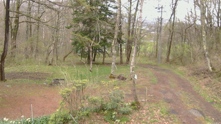 長野県菅平高原 ゆたか山荘 坂上 2026/05/01 12:45