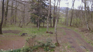 長野県菅平高原 ゆたか山荘 坂上 2026/05/01 14:30