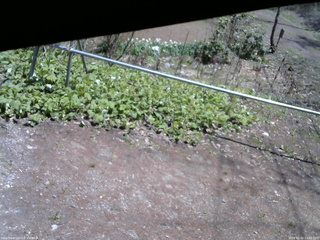 長野県菅平高原 ゆたか山荘 駐車場 2026/05/02 11:30