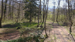 長野県菅平高原 ゆたか山荘 坂上 2026/05/02 08:30