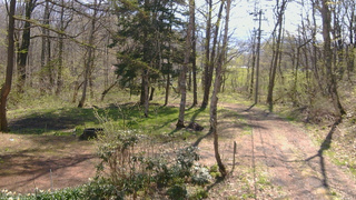 長野県菅平高原 ゆたか山荘 坂上 2026/05/02 08:45