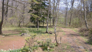 長野県菅平高原 ゆたか山荘 坂上 2026/05/02 12:15
