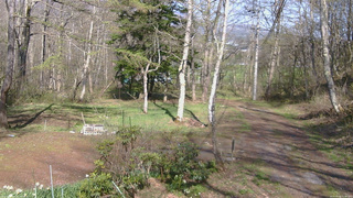 長野県菅平高原 ゆたか山荘 坂上 2026/05/02 15:00