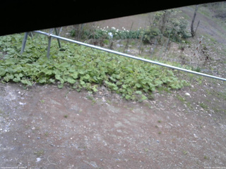 長野県菅平高原 ゆたか山荘 駐車場 2026/05/03 10:45