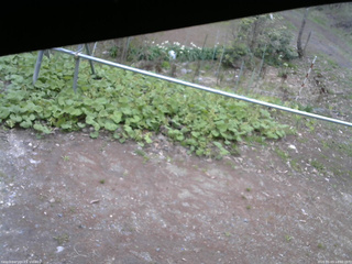 長野県菅平高原 ゆたか山荘 駐車場 2026/05/03 14:00