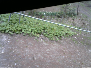 長野県菅平高原 ゆたか山荘 駐車場 2026/05/03 15:00
