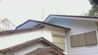 長野県菅平高原 ゆたか山荘 駐車場奥 2026/05/03 05:30
