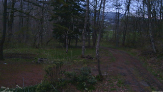長野県菅平高原 ゆたか山荘 坂上 2026/05/03 05:00