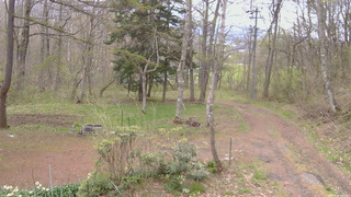 長野県菅平高原 ゆたか山荘 坂上 2026/05/03 08:45