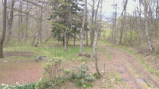 長野県菅平高原 ゆたか山荘 坂上 2026/05/03 09:00