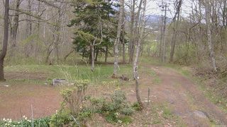 長野県菅平高原 ゆたか山荘 坂上 2026/05/03 12:30