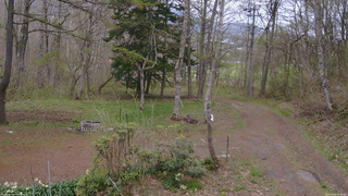 長野県菅平高原 ゆたか山荘 坂上 2026/05/03 13:45