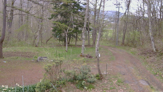 長野県菅平高原 ゆたか山荘 坂上 2026/05/03 14:00
