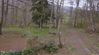 長野県菅平高原 ゆたか山荘 坂上 2026/05/03 14:30