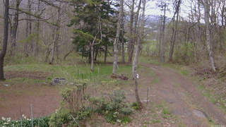 長野県菅平高原 ゆたか山荘 坂上 2026/05/03 15:15