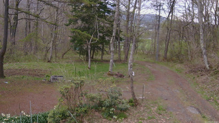 長野県菅平高原 ゆたか山荘 坂上 2026/05/03 15:30