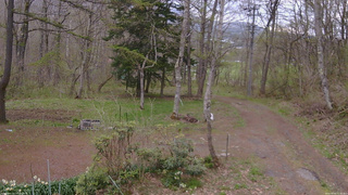 長野県菅平高原 ゆたか山荘 坂上 2026/05/03 15:45
