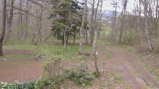 長野県菅平高原 ゆたか山荘 坂上 2026/05/03 16:15