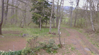 長野県菅平高原 ゆたか山荘 坂上 2026/05/03 16:45