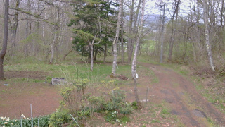 長野県菅平高原 ゆたか山荘 坂上 2026/05/03 17:45