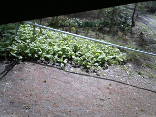 長野県菅平高原 ゆたか山荘 駐車場 2026/05/04 08:15