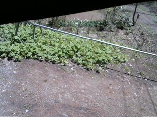 長野県菅平高原 ゆたか山荘 駐車場 2026/05/04 11:00
