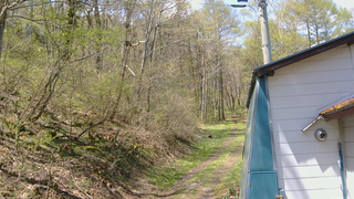 長野県菅平高原 ゆたか山荘 ゆたか山荘 2026/05/04 11:00