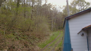 長野県菅平高原 ゆたか山荘 ゆたか山荘 2026/05/04 16:30