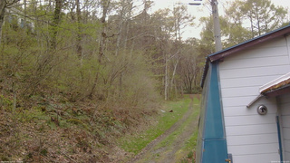 長野県菅平高原 ゆたか山荘 ゆたか山荘 2026/05/04 17:00