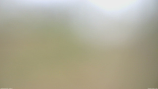 長野県菅平高原 ゆたか山荘 坂上 2026/05/04 06:15