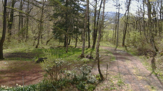 長野県菅平高原 ゆたか山荘 坂上 2026/05/04 08:30