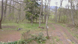 長野県菅平高原 ゆたか山荘 坂上 2026/05/04 14:00