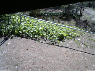 長野県菅平高原 ゆたか山荘 駐車場 2026/05/05 08:30