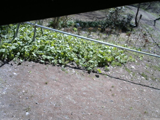 長野県菅平高原 ゆたか山荘 駐車場 2026/05/05 09:15