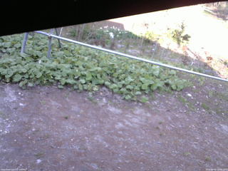 長野県菅平高原 ゆたか山荘 駐車場 2026/05/05 16:45