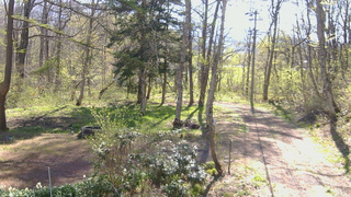 長野県菅平高原 ゆたか山荘 坂上 2026/05/05 08:15