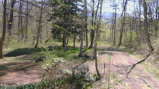 長野県菅平高原 ゆたか山荘 坂上 2026/05/05 09:15