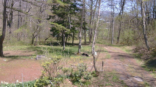 長野県菅平高原 ゆたか山荘 坂上 2026/05/05 12:30