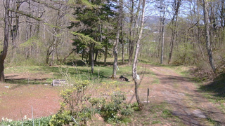 長野県菅平高原 ゆたか山荘 坂上 2026/05/05 12:45