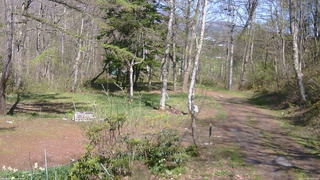 長野県菅平高原 ゆたか山荘 坂上 2026/05/05 14:00