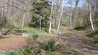 長野県菅平高原 ゆたか山荘 坂上 2026/05/05 14:30