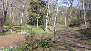 長野県菅平高原 ゆたか山荘 坂上 2026/05/05 14:45