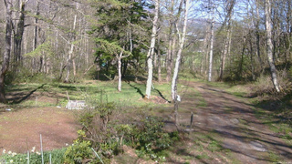 長野県菅平高原 ゆたか山荘 坂上 2026/05/05 15:00