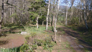 長野県菅平高原 ゆたか山荘 坂上 2026/05/05 16:00